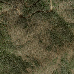 Satellite imagery of Whiteoak Limb Ridge, US
