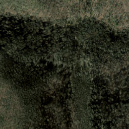 Satellite imagery of Low Ridge, US
