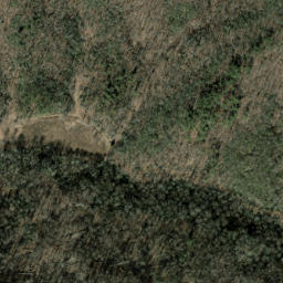 Satellite imagery of Low Ridge, US