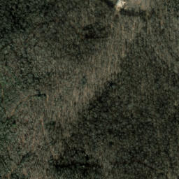 Satellite imagery of Trail Ridge, US