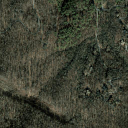 Satellite imagery of Trail Ridge, US