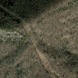 Satellite imagery of The Dismal, US