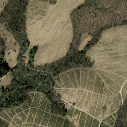 Satellite imagery of Tanasee Ridge, US