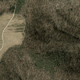 Satellite imagery of Tanasee Ridge, US