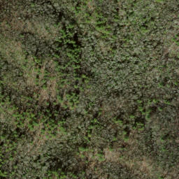 Satellite imagery of Bryson Lead, US