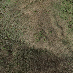 Satellite imagery of Nim Ridge, US