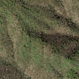 Satellite imagery of Nim Ridge, US
