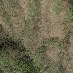 Satellite imagery of Nim Ridge, US