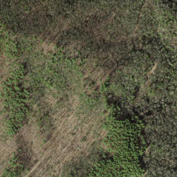 Satellite imagery of Groundhog Ridge, US