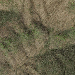 Satellite imagery of Copper Ridge, US