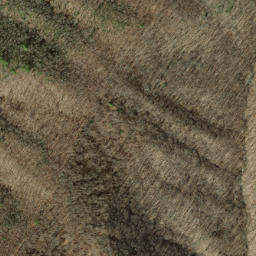 Satellite imagery of Copper Ridge, US