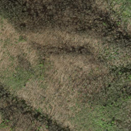 Satellite imagery of Snakeden Ridge, US