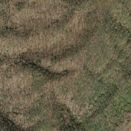 Satellite imagery of Fork Ridge, US