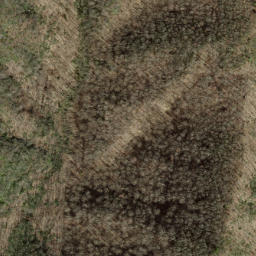 Satellite imagery of Fork Ridge, US