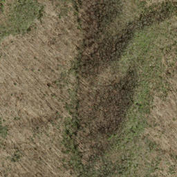 Satellite imagery of Fork Ridge, US