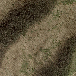 Satellite imagery of Steel Trap Ridge, US