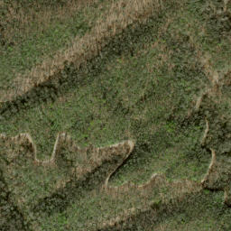 Satellite imagery of Fork Ridge, US