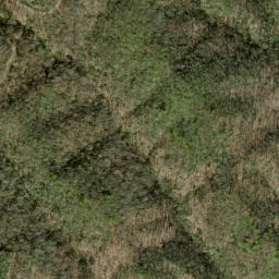Satellite imagery of Fork Ridge, US