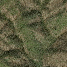 Satellite imagery of Fork Ridge, US
