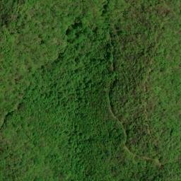 Satellite imagery of Stewart Ridge, US