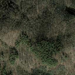 Satellite imagery of Trail Ridge, US