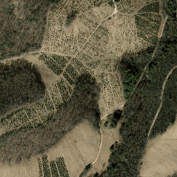 Satellite imagery of Tanasee Ridge, US