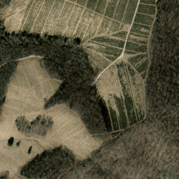 Satellite imagery of Tanasee Ridge, US