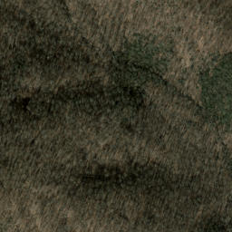 Satellite imagery of Tanasee Ridge, US