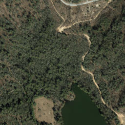 Satellite imagery of Steam Hole Ridge, US