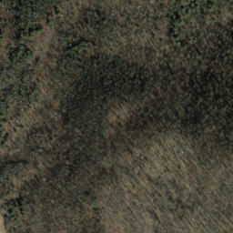 Satellite imagery of Steam Hole Ridge, US