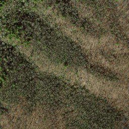 Satellite imagery of Bryson Lead, US