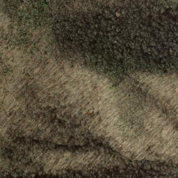 Satellite imagery of Nim Ridge, US