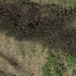 Satellite imagery of Nim Ridge, US