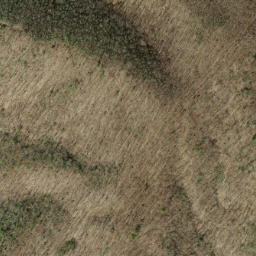 Satellite imagery of Pine Stand Ridge, US