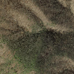 Satellite imagery of Pine Stand Ridge, US