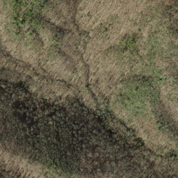 Satellite imagery of Pine Stand Ridge, US