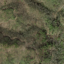 Satellite imagery of Snakeden Ridge, US