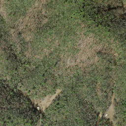 Satellite imagery of Snakeden Ridge, US