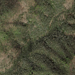 Satellite imagery of Fork Ridge, US