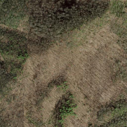 Satellite imagery of Fork Ridge, US