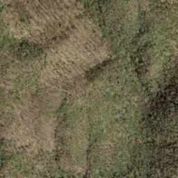 Satellite imagery of Fork Ridge, US