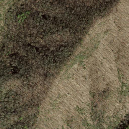 Satellite imagery of Steel Trap Ridge, US