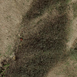 Satellite imagery of Steel Trap Ridge, US
