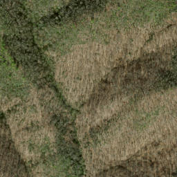 Satellite imagery of Fork Ridge, US