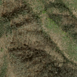 Satellite imagery of Fork Ridge, US