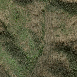 Satellite imagery of Fork Ridge, US