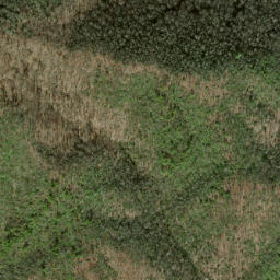 Satellite imagery of Old Mattie Ridge, US