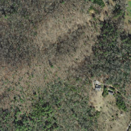 Satellite imagery of Cowee Mountain Mine, US