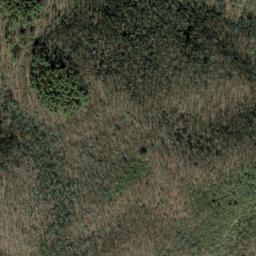 Satellite imagery of Shouting Ridge, US
