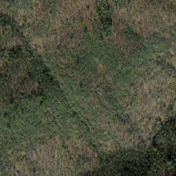 Satellite imagery of Bear Creek Ridge, US